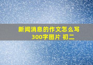 新闻消息的作文怎么写 300字图片 初二